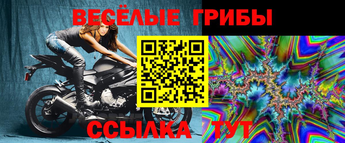 Галлюциногенные грибы MAGIC MUSHROOMS  Вход с VPN  Темрюк  Галлюциногенные грибы Magic Shrooms 